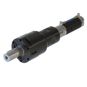 motor neumático con paleta 1