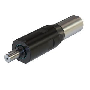 motor neumático con paleta 1