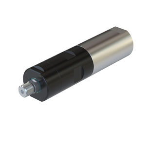 motor neumático con paleta 1