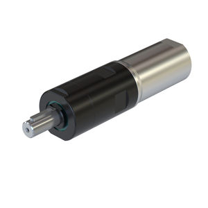 motor neumático con paleta 1