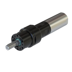 motor neumático con paleta 1