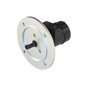 motor neumático con paleta 1