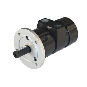 motor neumático con paleta 1