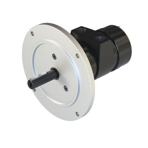 motor neumático con paleta 1