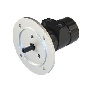 motor neumático con paleta 1