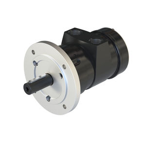 motor neumático con paleta 1