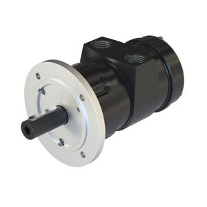 motor neumático con paleta 1