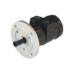 motor neumático con paleta 1