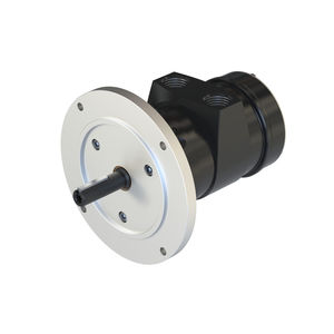 motor neumático con paleta 1