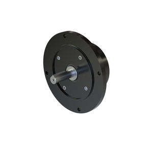 motor neumático de pistones 1