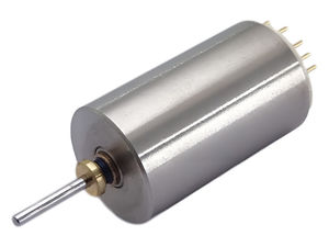 motor brushless