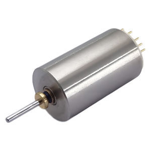 motor brushless 1