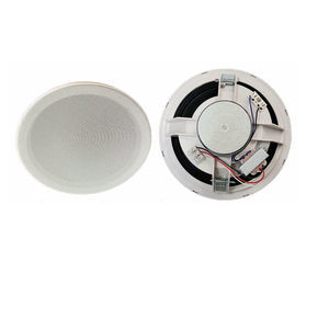 altavoz de techo 1