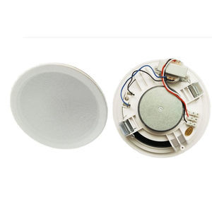 altavoz de techo 1