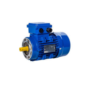 motor 3 fases