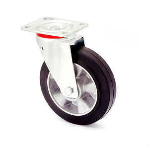 rueda con aro 1