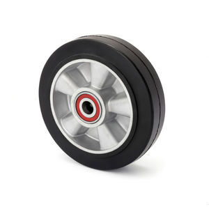 rueda con aro 1