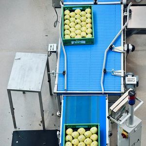 línea de clasificación y alimentación