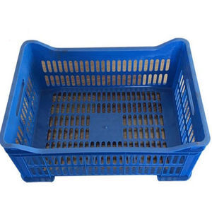molde de inyección de plástico para recipientes