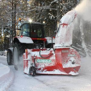 soplador de nieve 1