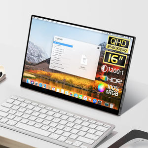 monitor LCD 1