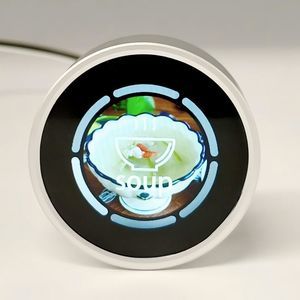 módulos de visualización IPS