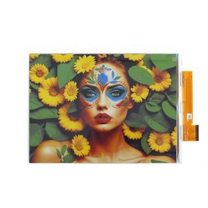 visualizador E-Paper