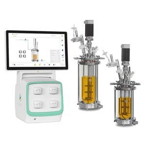biorreactor/fermentador fermentador alimentado discontinuo (Fed-batch) 1
