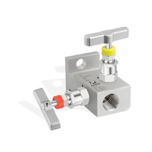 manifold de 2 vías 1