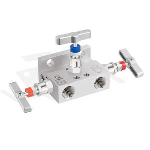 manifold de 3 vías 1
