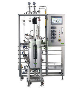 biorreactor/fermentador de depósito agitado