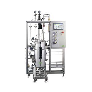 biorreactor/fermentador de depósito agitado
