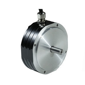 motor brushless