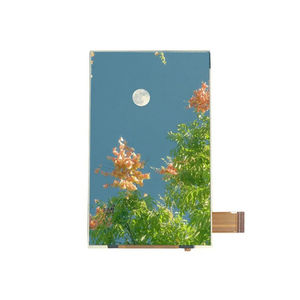módulo de visualización TFT LCD 1