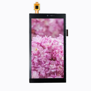 módulo de visualización TFT LCD 1