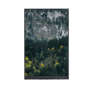 módulo de visualización TFT LCD 1