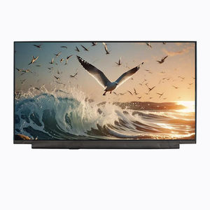 módulo de visualización TFT LCD 1