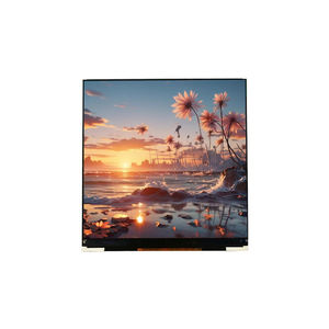 módulo de visualización LCD