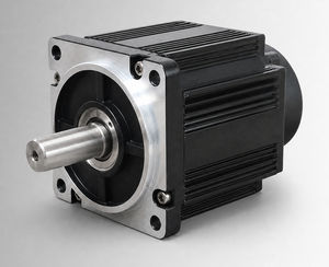 motor brushless 1