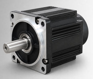 motor brushless 1