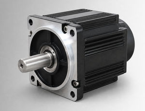 motor brushless 1