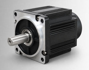 motor brushless 1