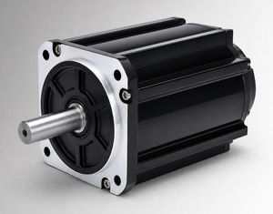 motor brushless 1