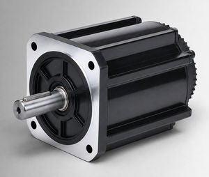 motor brushless 1