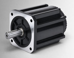 motor brushless 1
