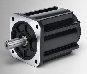 motor brushless 1