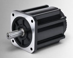 motor brushless 1