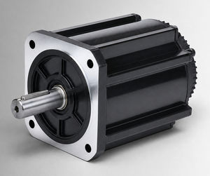motor brushless 1