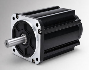 motor brushless 1
