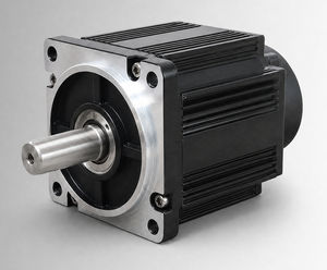 motor brushless 1